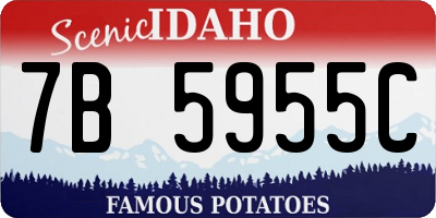 ID license plate 7B5955C