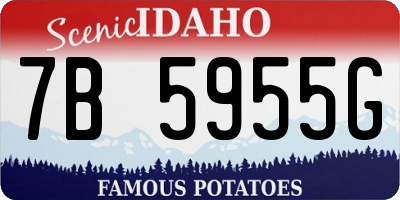 ID license plate 7B5955G