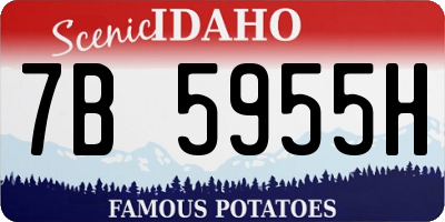 ID license plate 7B5955H