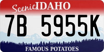 ID license plate 7B5955K