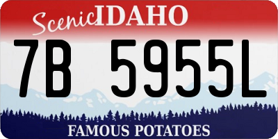 ID license plate 7B5955L