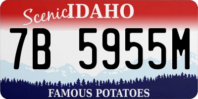 ID license plate 7B5955M