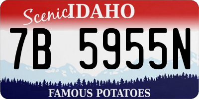 ID license plate 7B5955N