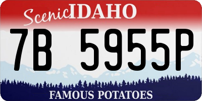 ID license plate 7B5955P