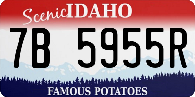 ID license plate 7B5955R