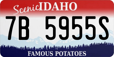 ID license plate 7B5955S