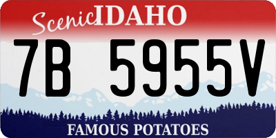 ID license plate 7B5955V
