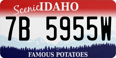 ID license plate 7B5955W