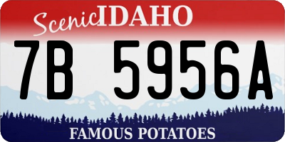 ID license plate 7B5956A