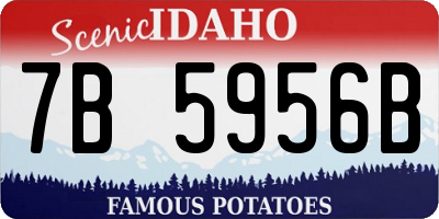 ID license plate 7B5956B