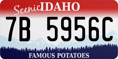 ID license plate 7B5956C