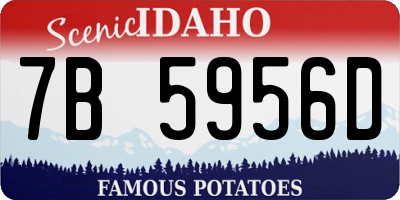 ID license plate 7B5956D