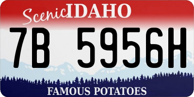 ID license plate 7B5956H