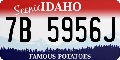 ID license plate 7B5956J