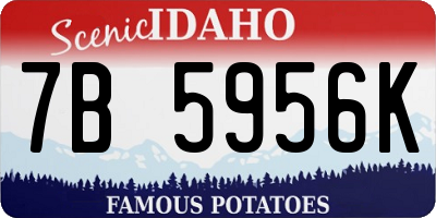 ID license plate 7B5956K