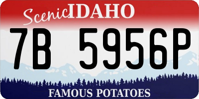 ID license plate 7B5956P