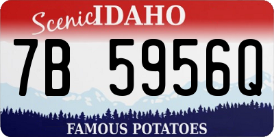 ID license plate 7B5956Q