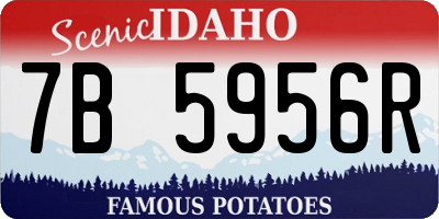ID license plate 7B5956R