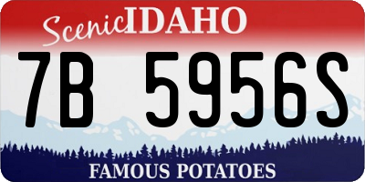 ID license plate 7B5956S