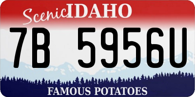 ID license plate 7B5956U