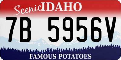 ID license plate 7B5956V