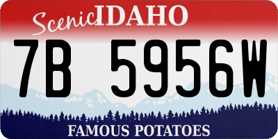 ID license plate 7B5956W