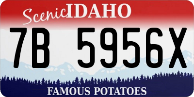 ID license plate 7B5956X