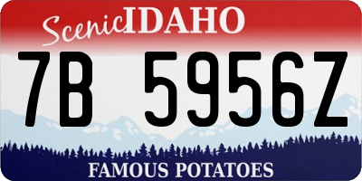 ID license plate 7B5956Z