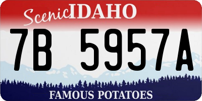 ID license plate 7B5957A