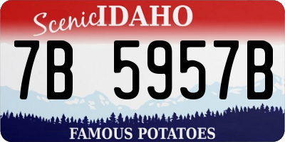ID license plate 7B5957B