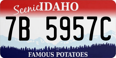 ID license plate 7B5957C