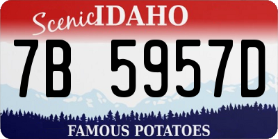 ID license plate 7B5957D