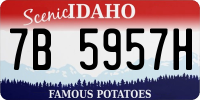 ID license plate 7B5957H