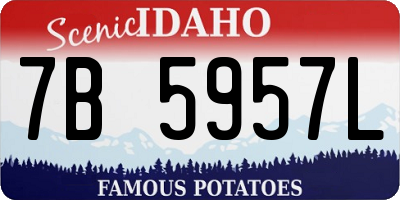 ID license plate 7B5957L