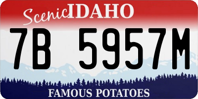 ID license plate 7B5957M