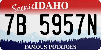 ID license plate 7B5957N