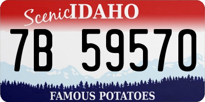 ID license plate 7B5957O