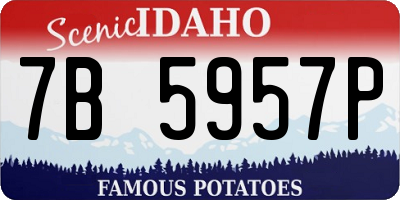 ID license plate 7B5957P