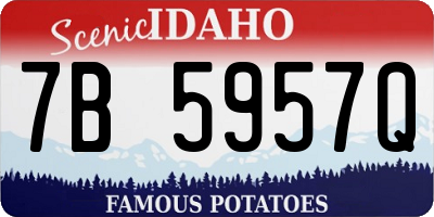 ID license plate 7B5957Q