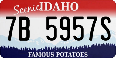 ID license plate 7B5957S