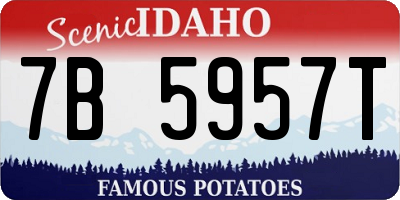 ID license plate 7B5957T