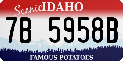 ID license plate 7B5958B