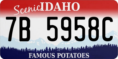 ID license plate 7B5958C