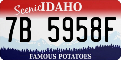 ID license plate 7B5958F