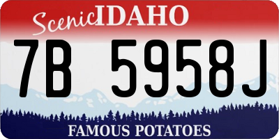 ID license plate 7B5958J
