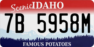 ID license plate 7B5958M