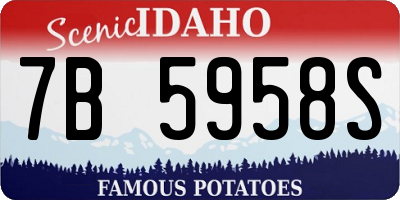 ID license plate 7B5958S