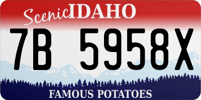 ID license plate 7B5958X