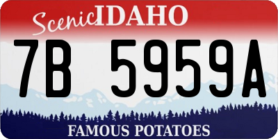 ID license plate 7B5959A