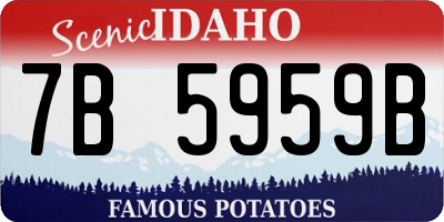 ID license plate 7B5959B